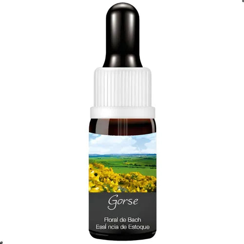 FLORAL DE BACH GOTAS GORSE 10ML
