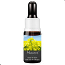 FLORAL DE BACH GOTAS MUSTARD 10ML