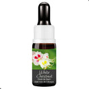FLORAL DE BACH GOTAS WHITE CHESTNUT 10ML