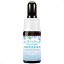 FLORAL DE BACH CONCENTRADO TRANQUILIDADE 9ML