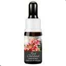 FLORAL DE BACH GOTAS RED CHESTNUT 10ML