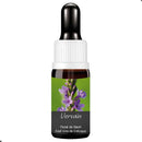 FLORAL DE BACH GOTAS VERVAIN 10ML