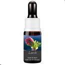 FLORAL DE BACH GOTAS LARCH 10ML