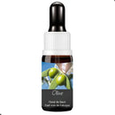 FLORAL DE BACH GOTAS OLIVE 10ML