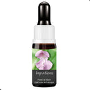 FLORAL DE BACH GOTAS IMPATIENS 10ML