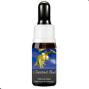FLORAL DE BACH GOTAS CHESTNUT BUD 10ML