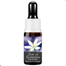 FLORAL DE BACH GOTAS STAR OF BETHLEHEM 10ML