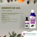 Óleo Vegetal de Semente de Uva - 50ml - Phytoterápica