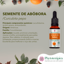 Óleo Vegetal de Semente de Abóbora - 30ml - Phytoterápica