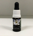 FLORAL DE BACH GOTAS CHERRY PLUM 10ML