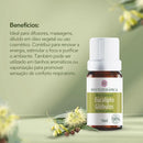 Óleo Essencial de Eucalipto Globulus - 10ml - Phytoterápica