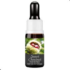 FLORAL DE BACH GOTAS SWEET CHESTNUT 10ML